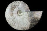 Agatized Ammonite Fossil (Half) - Madagascar #83873-1